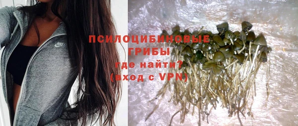 мдпв Саяногорск