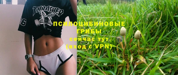 твердый Сатка
