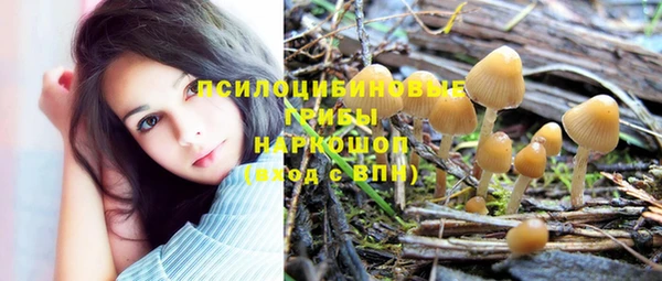 мдпв Саяногорск