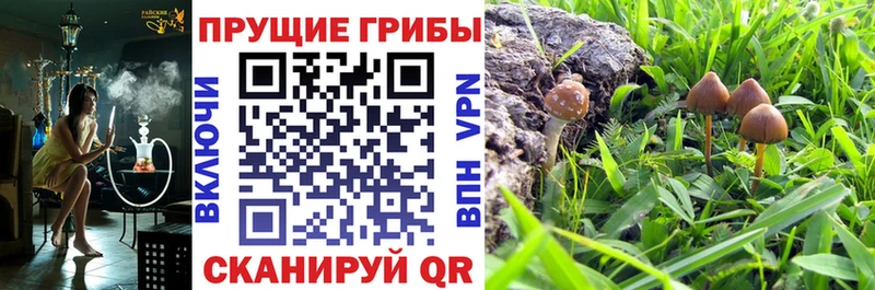 Галлюциногенные грибы мухоморы  мориарти как зайти  Железногорск  купить наркоту 