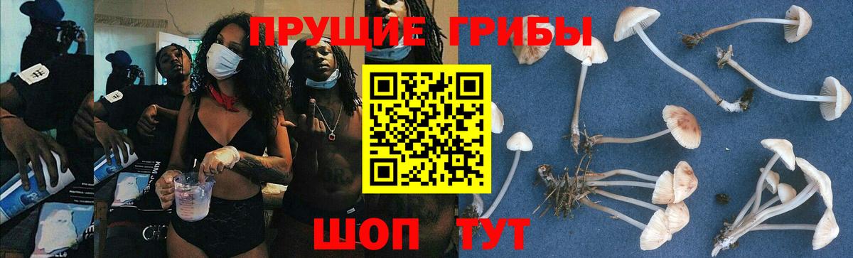 Псилоцибиновые грибы мухоморы Железногорск